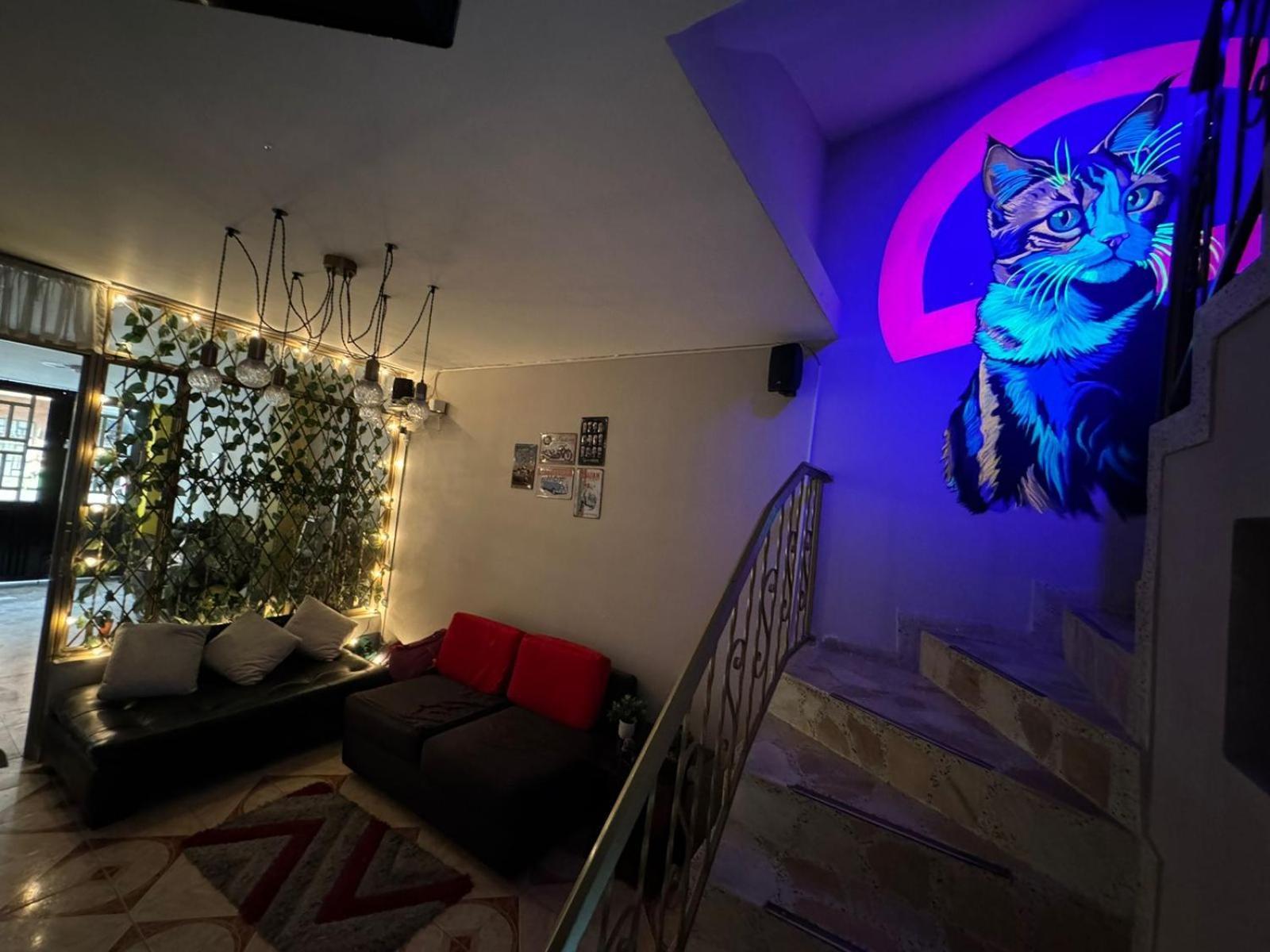 Gato Neon * Bogotá